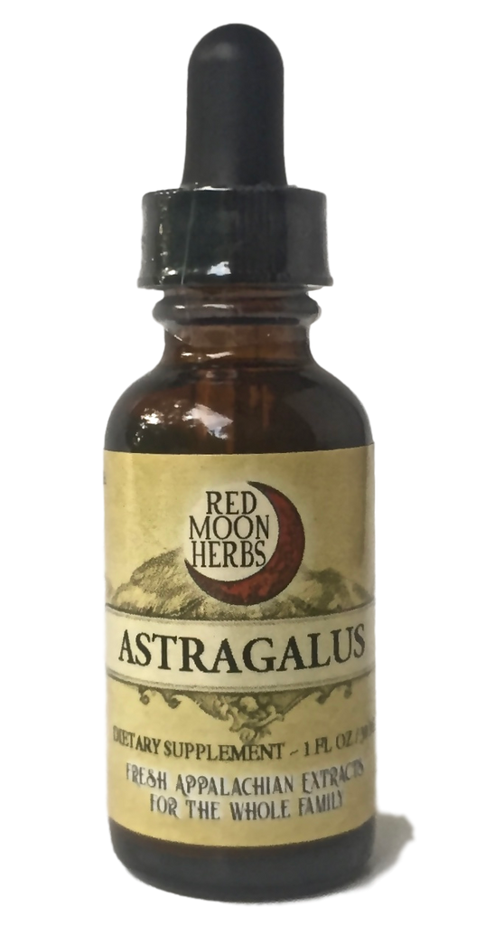 Astragalus Root