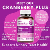 Bold Cranberry Plus