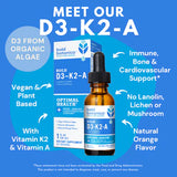 Bold D3- K2-A