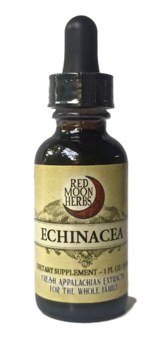 Echinacea