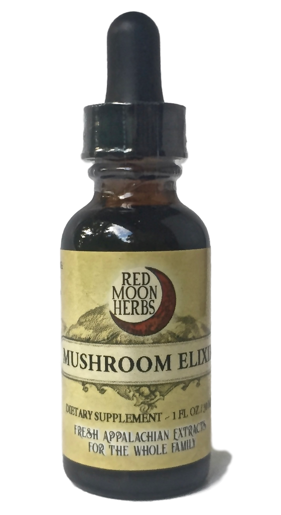 Mushroom Elixir