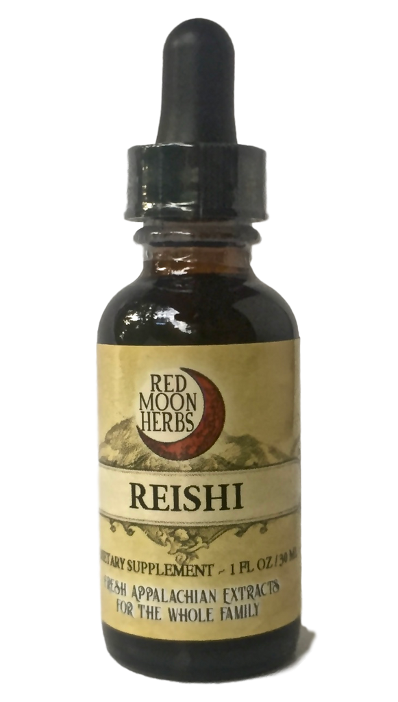 Reishi Mushroom