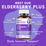 Bold Elderberry Plus