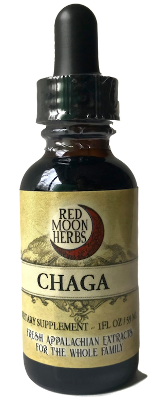 Chaga