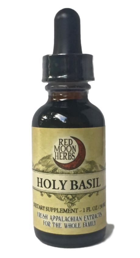 Holy Basil