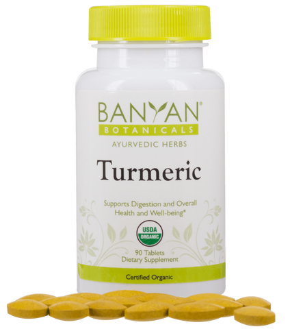 Turmeric Tablets - Chineseherbs.net